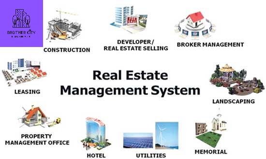 Real-Estate-Management